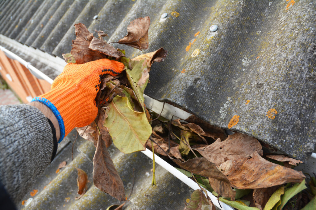 Cleaning Out Dead Leaves From Clogged Gutter