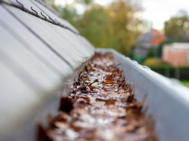 Close Up of Clogged Gutters During High Humidity - K-Guard Heartland